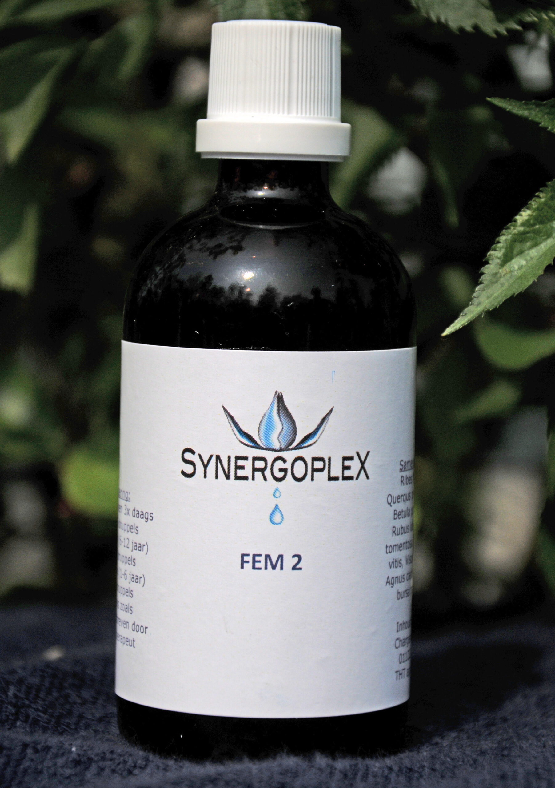 Synergoplex FEM 2