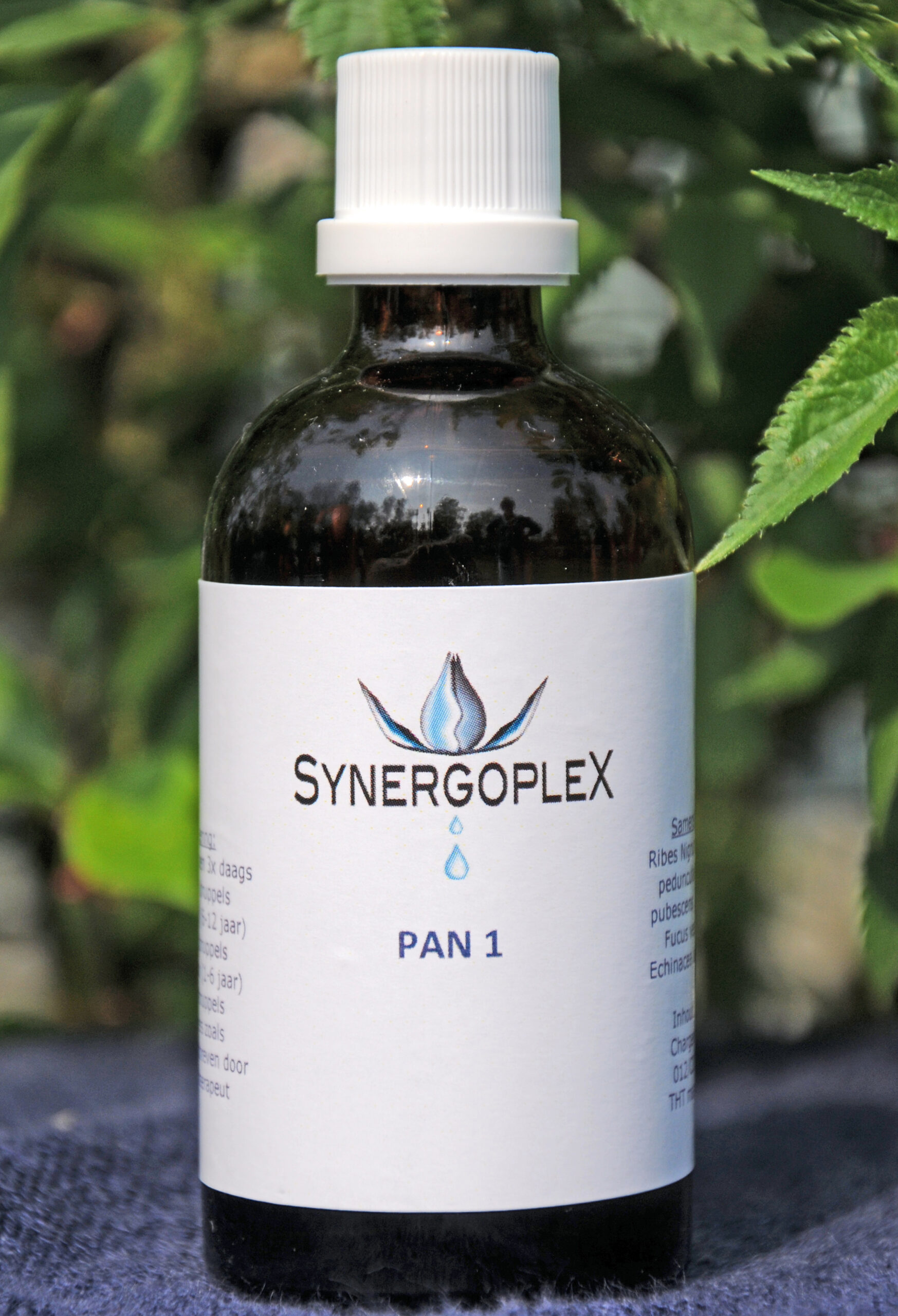 Synergoplex PAN 1